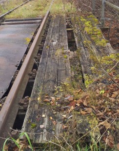 Vyhnitá drevená podlaha na mostíku